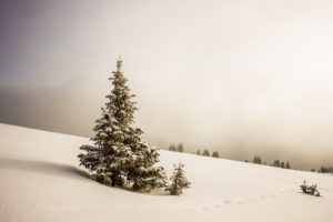 Read more about the article Post Example 3